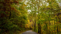 Rowan County Fall_2025